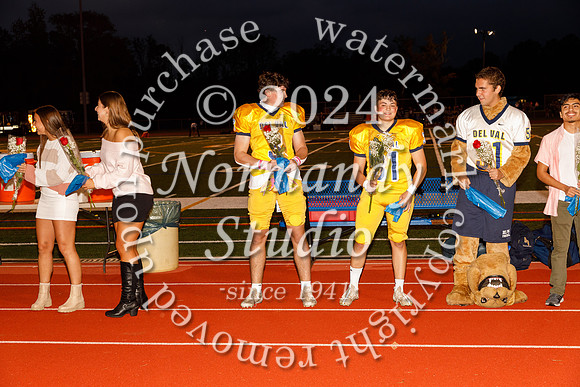 DVH_hc court_01