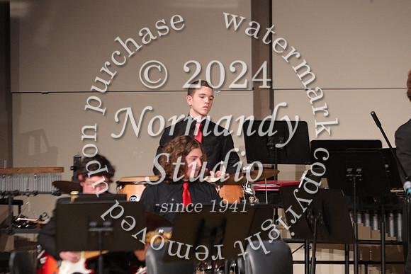 BER_orchestra_45