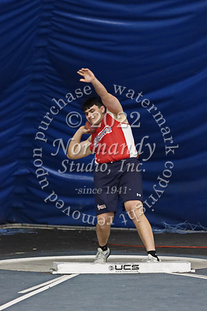 MNP_005_wt-b