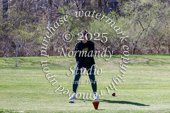 WMC_go-g_22