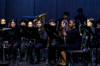 WTG_concert_06