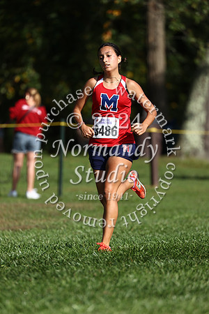 MSM_cc-g_29
