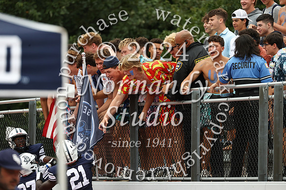 SHP_fb-fans_01