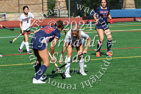 SVL_fh_41