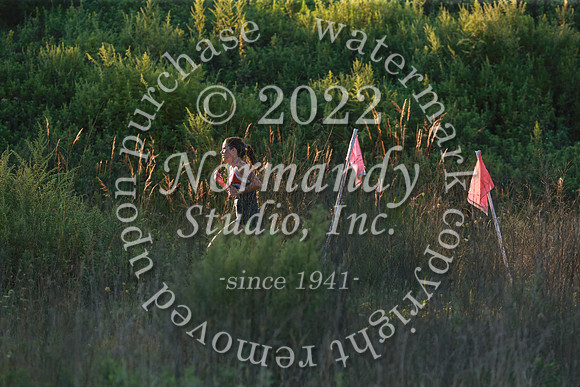WMM_cc-g_45