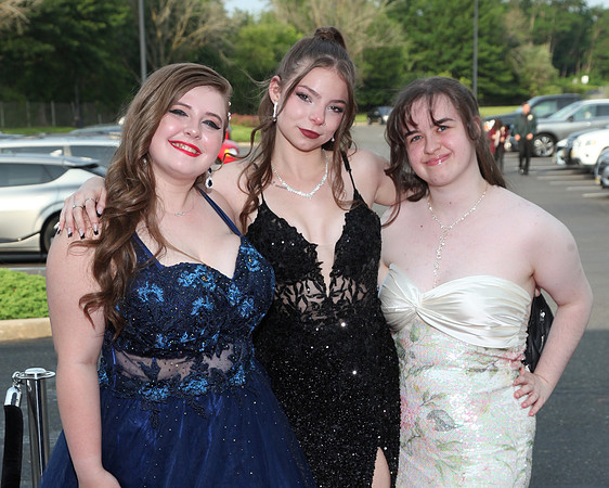 FTH_sr_prom_040