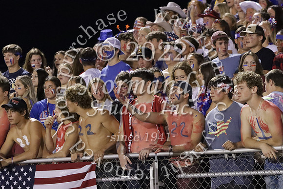 DVH_fans_48