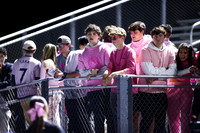 SPF_fans_17