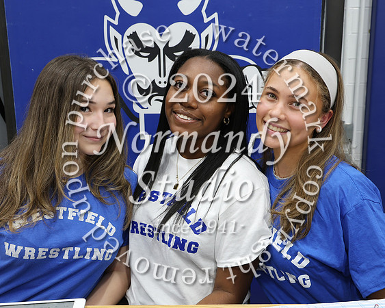 WHS_wr_002