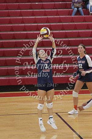 MSM_vb-g_41
