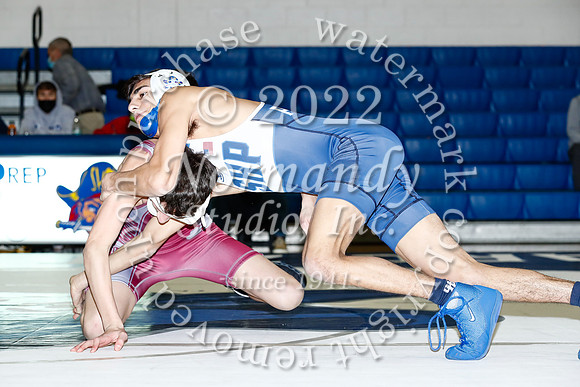 SHP_31_wr-v