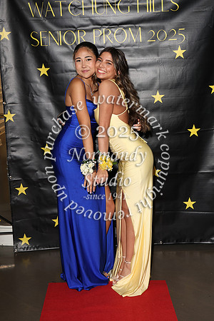 WTG_sr_prom_020