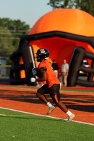 SVL_fb_06
