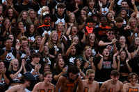 SVL_fans_20