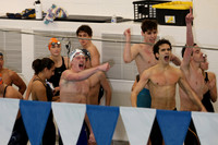 WHS_sw-b_02