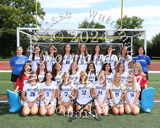 WHS_fh-v-t_399