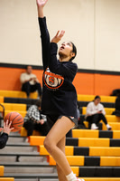 SVL_bb-g-v_08