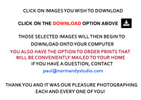 Normandy Free Download Instructions