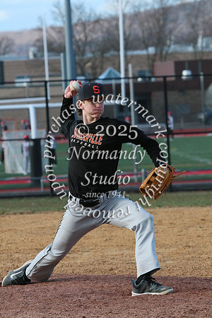 SVL_bb-j_29