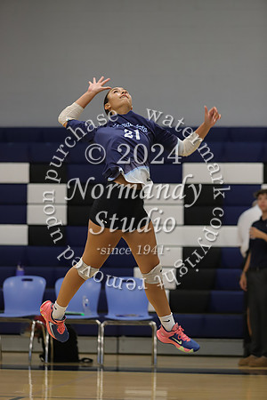 IMC_vb-g_16