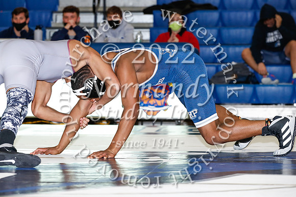 SHP_39_wr-j