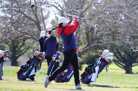 SPRING SPORTS 2025