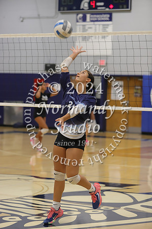IMC_vb-g_08