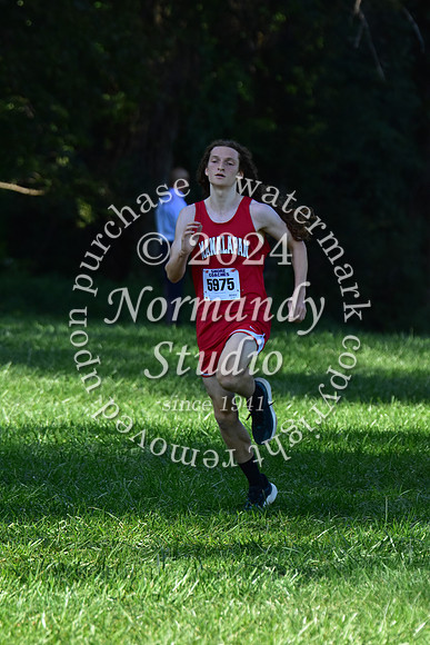 MNP_cc-g+b-j_10