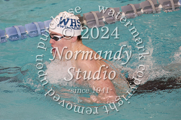 WHS_sw-b_13