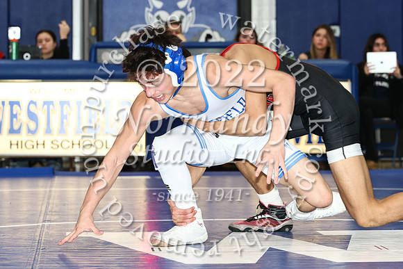 WHS_wr_20