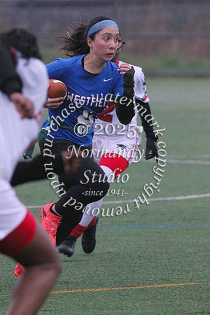 WHS_ff_40