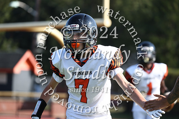 SVL_fb-f_40