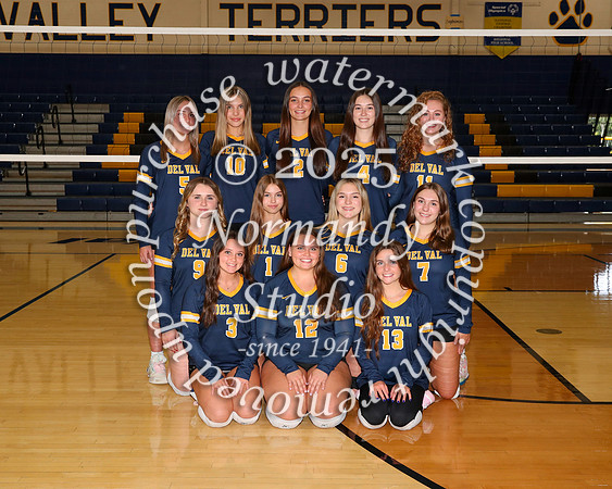 DVH_vb-g-v-t_12