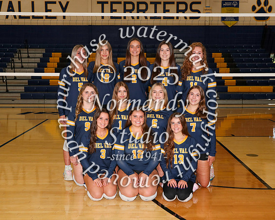 DVH_vb-g-v-t_13