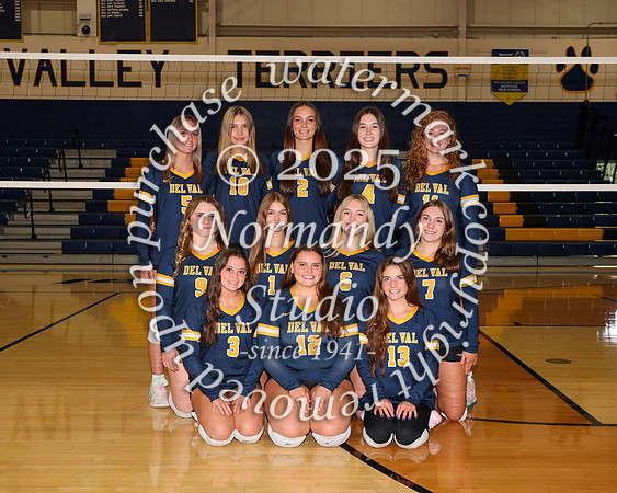 DVH_vb-g-v-t_14