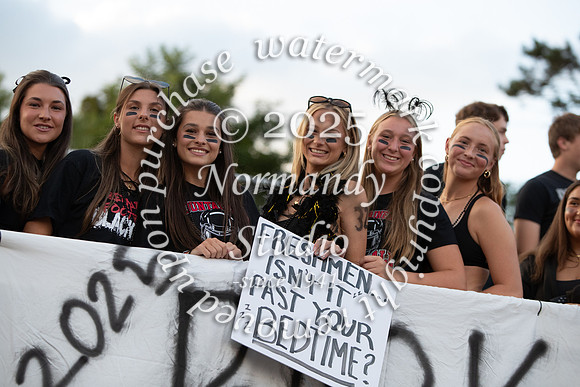 BER_fans_03