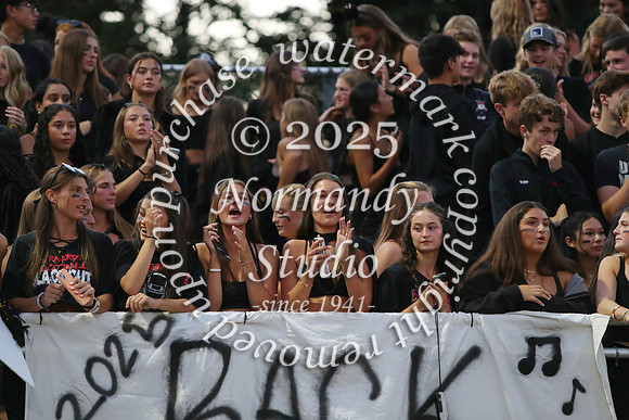 BER_fans_35