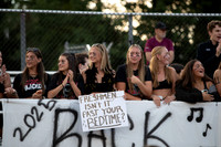 BER_fans_02