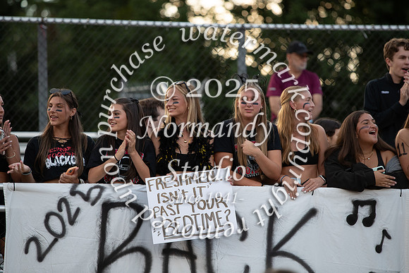 BER_fans_02