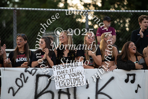BER_fans_01
