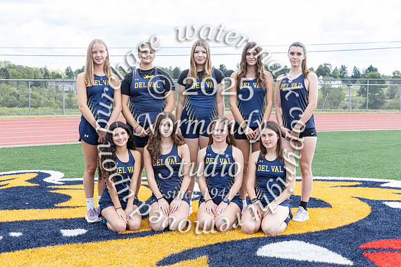 DVH_cc-g-t_01
