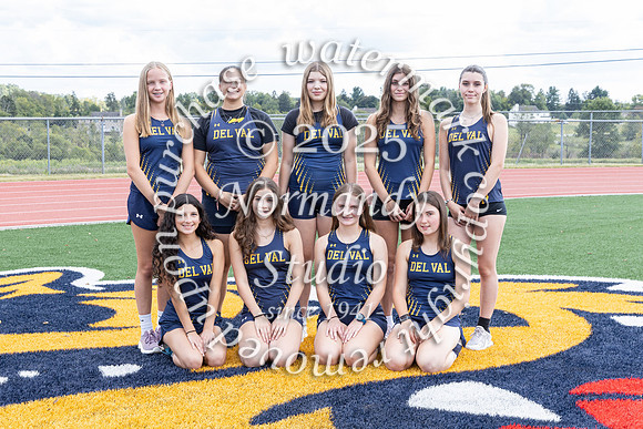 DVH_cc-g-t_03
