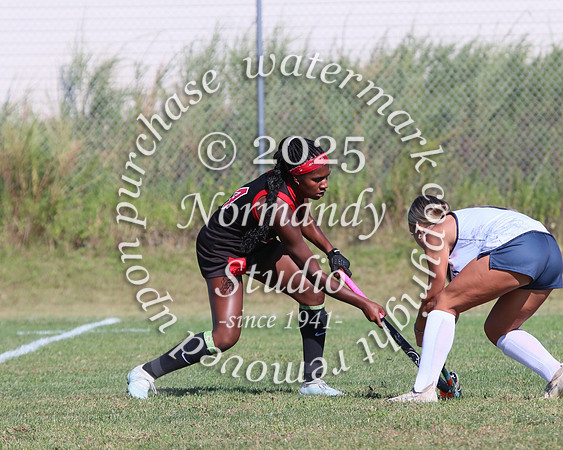 JAC_fh_33