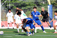 WHS_so-b_016