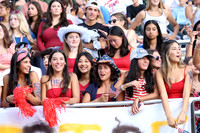 WTG_fans_13