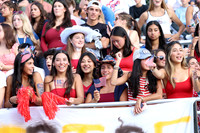 WTG_fans_15