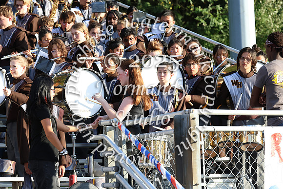WTG_mb_15