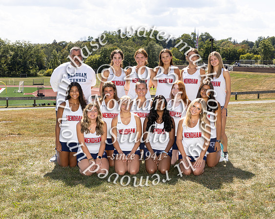 WMM_tn_g_v_t_1