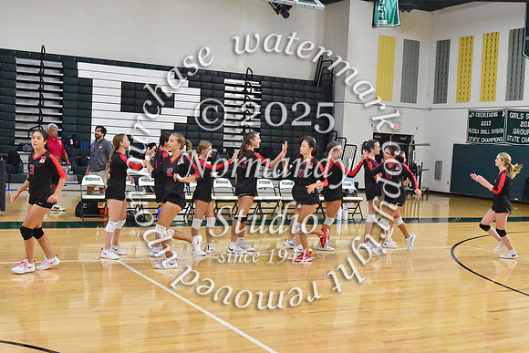 BER_vb-g_30