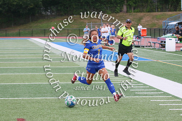 CHS_so-g_33